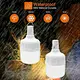Bulb Camping Lantern