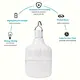 Bulb Camping Lantern